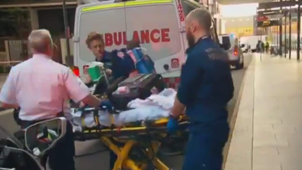 A screenshot of the scene police