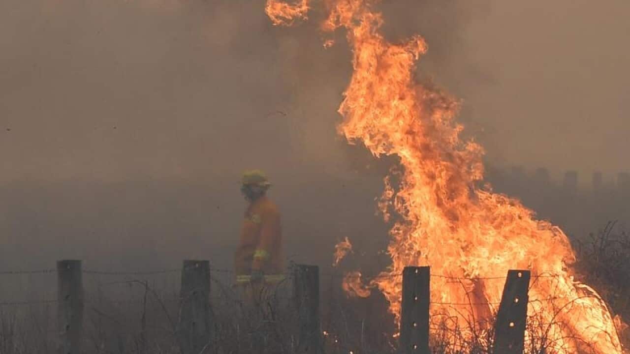 Bunyip bushfire