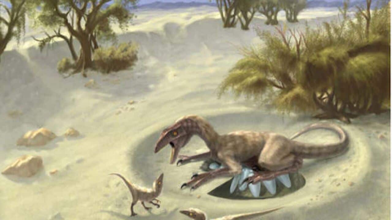 Oviraptor Nesting Doyle Trankina and Gerald Grellet-Tinner