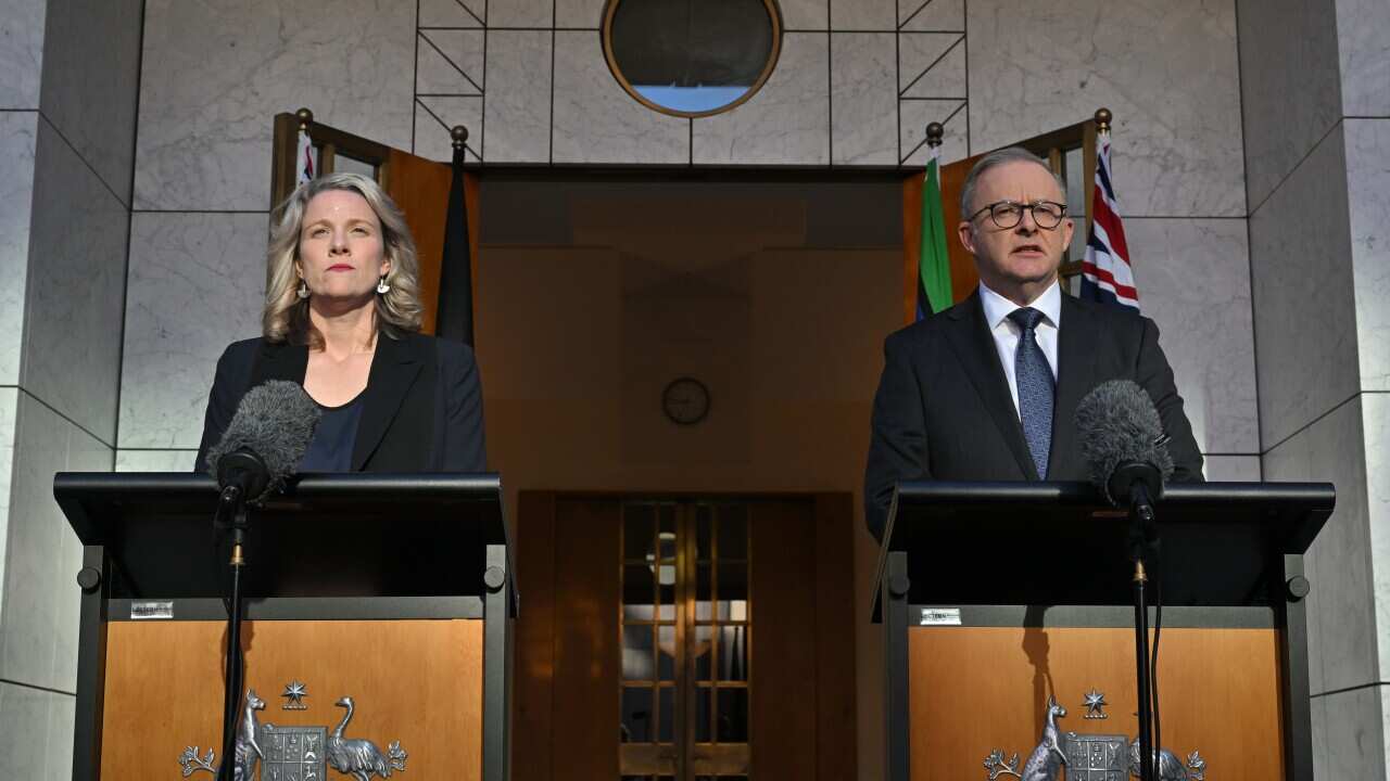 Clare O'Neil (left) and Anthony Albanese (right) standing behind podiums