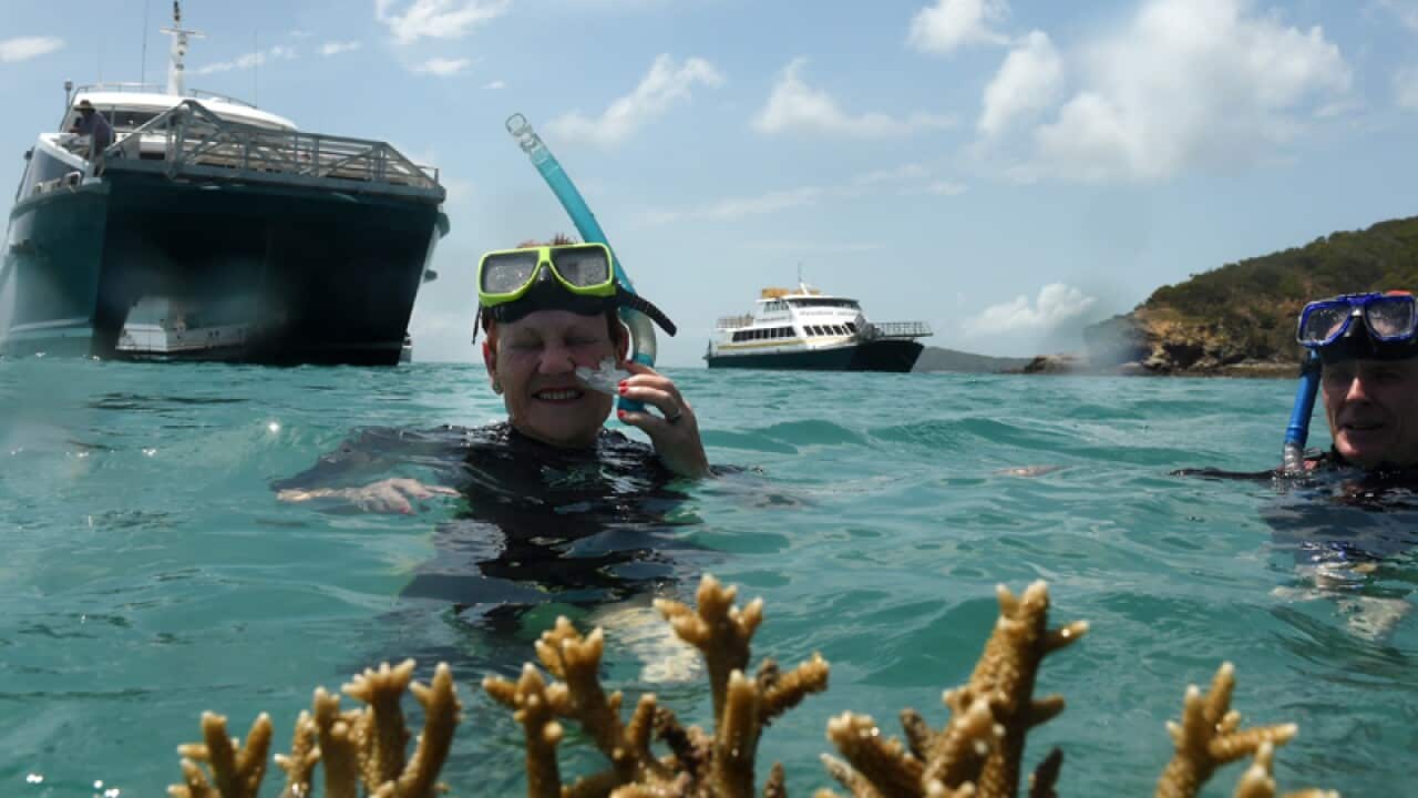 Image for read more article 'Related reading'