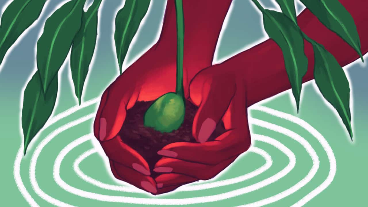 Image for read more article ''