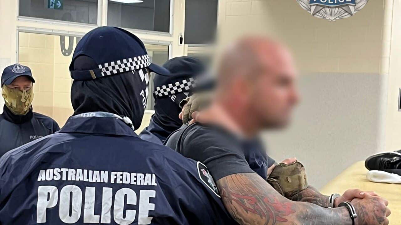 AFP release