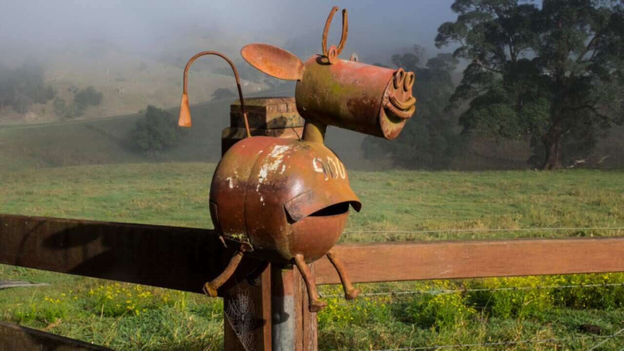 A mailbox in the Australian countryside in northern NSW near