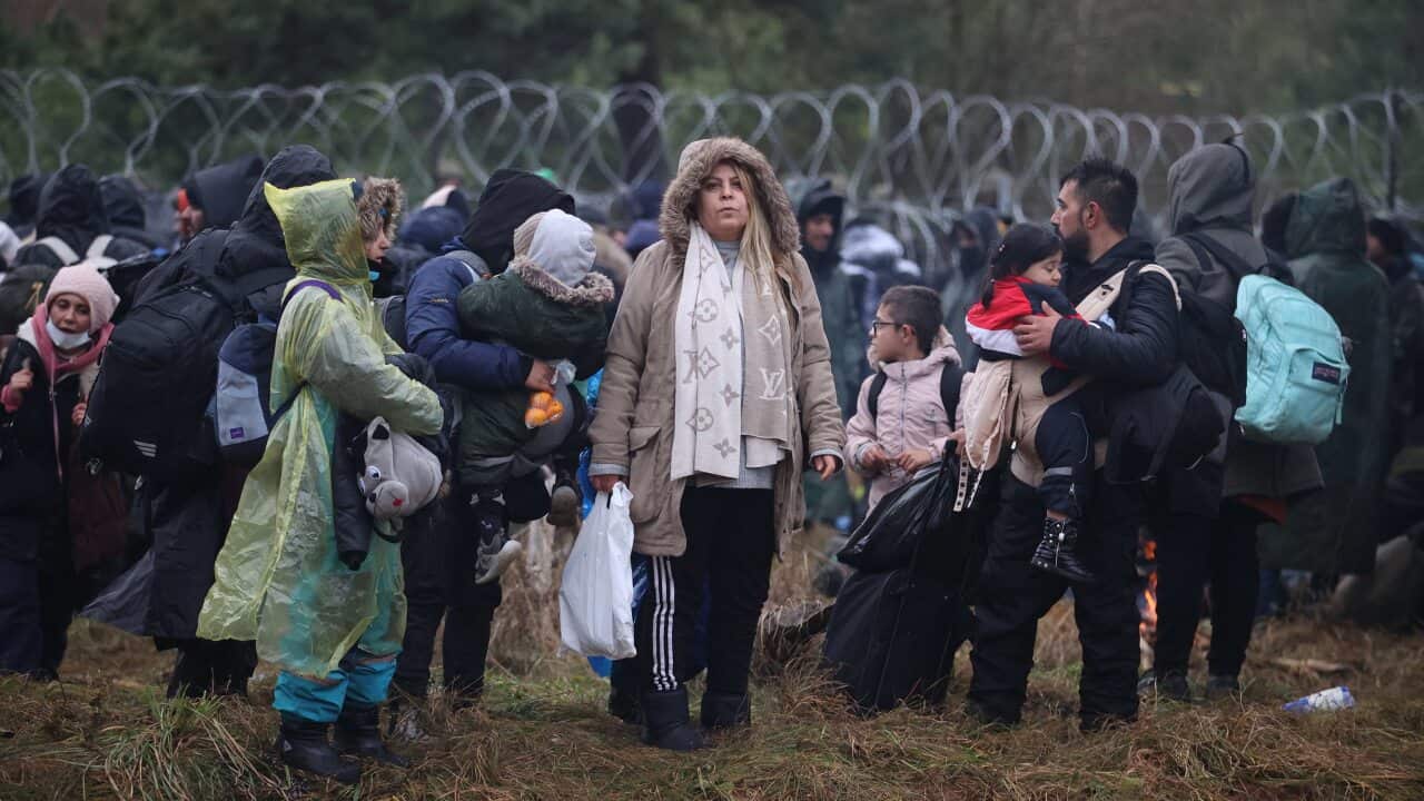 Migrants gathering on the Belarus-Poland border in the Grodno region, Belarus, 8 November 2021.