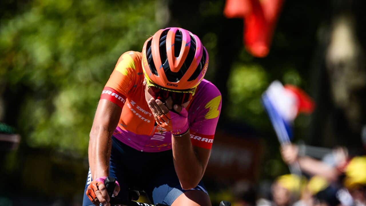 Image for read more article ''