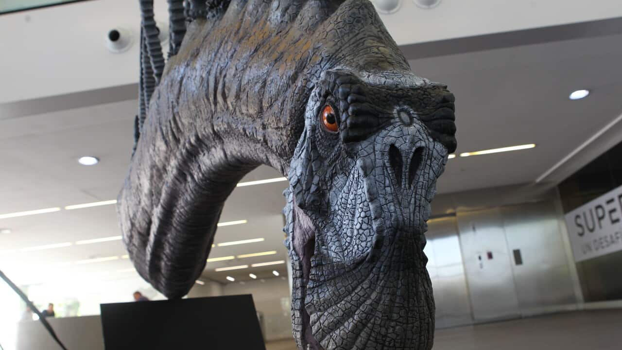 Image for read more article '更多內容'