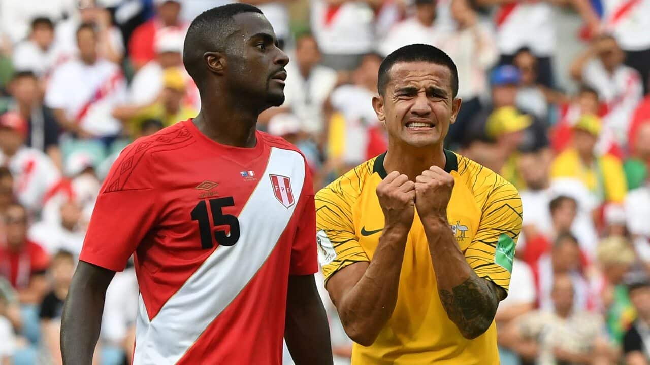 Image for read more article 'READ MORE'