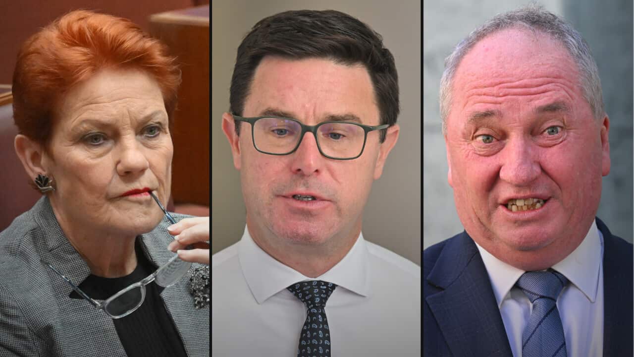 Three side-by-side close-up photos of Pauline Hanson, David Littleproud, and Barnaby Joyce each shown mid-expression