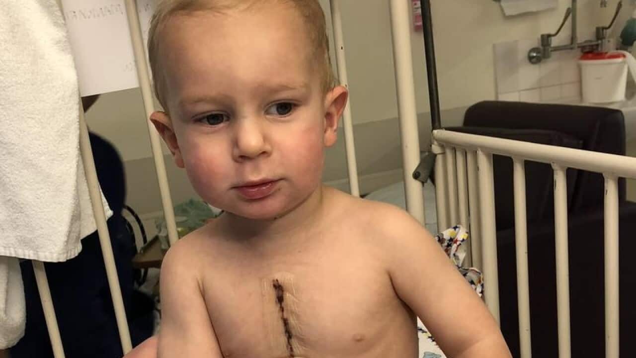 Two-year-old Charlie Mainwaring