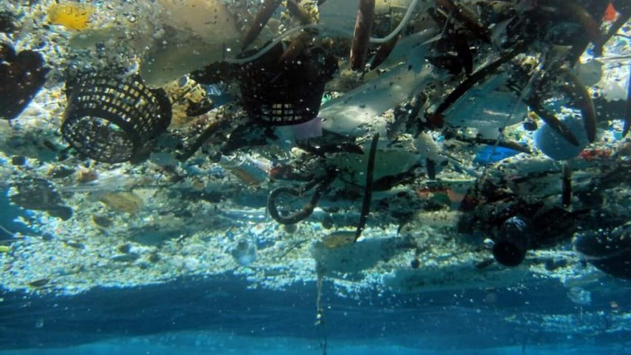 Plastic polution in the sea
