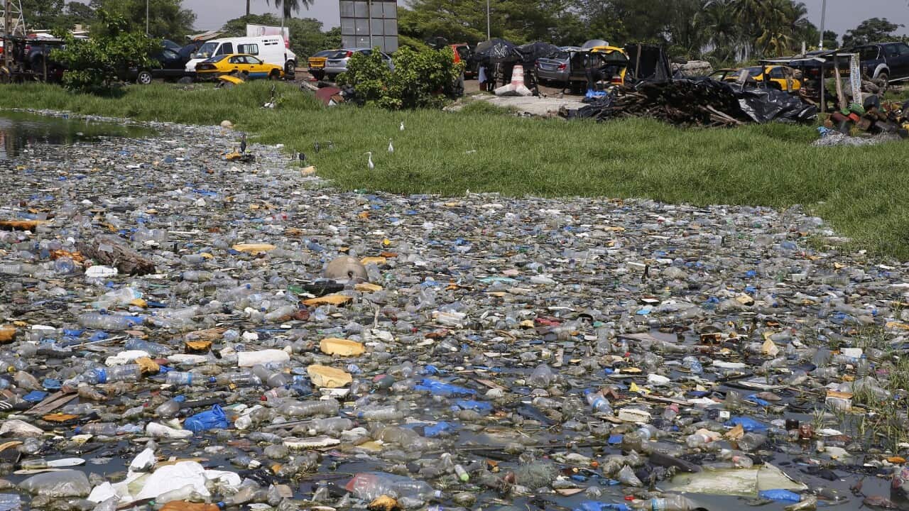 Plastic bottles float on the Ebrie lagoon in Abidjan, Ivory Coast. (EPA - LEGNAN KOULA).