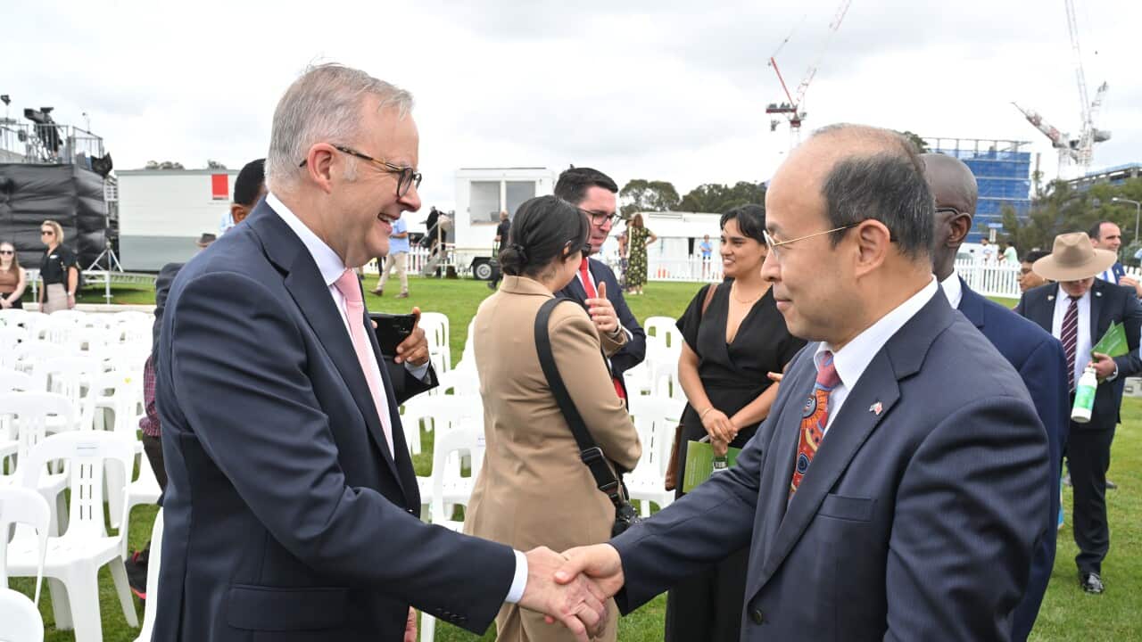 2025 CANBERRA AUSTRALIA DAY