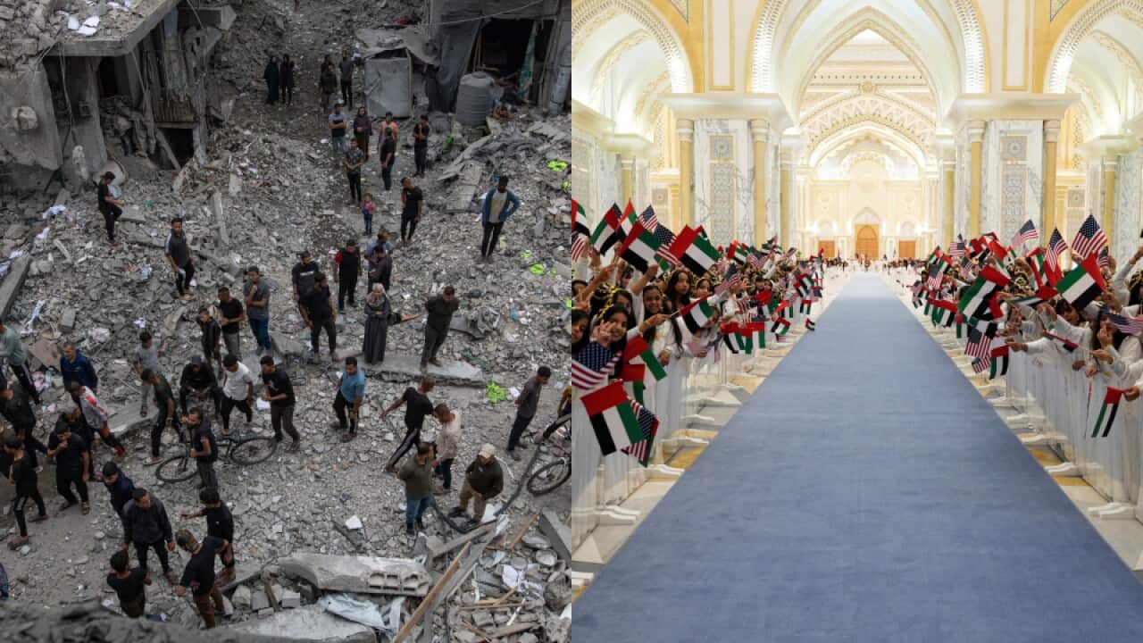 World Report 16 May.jpg