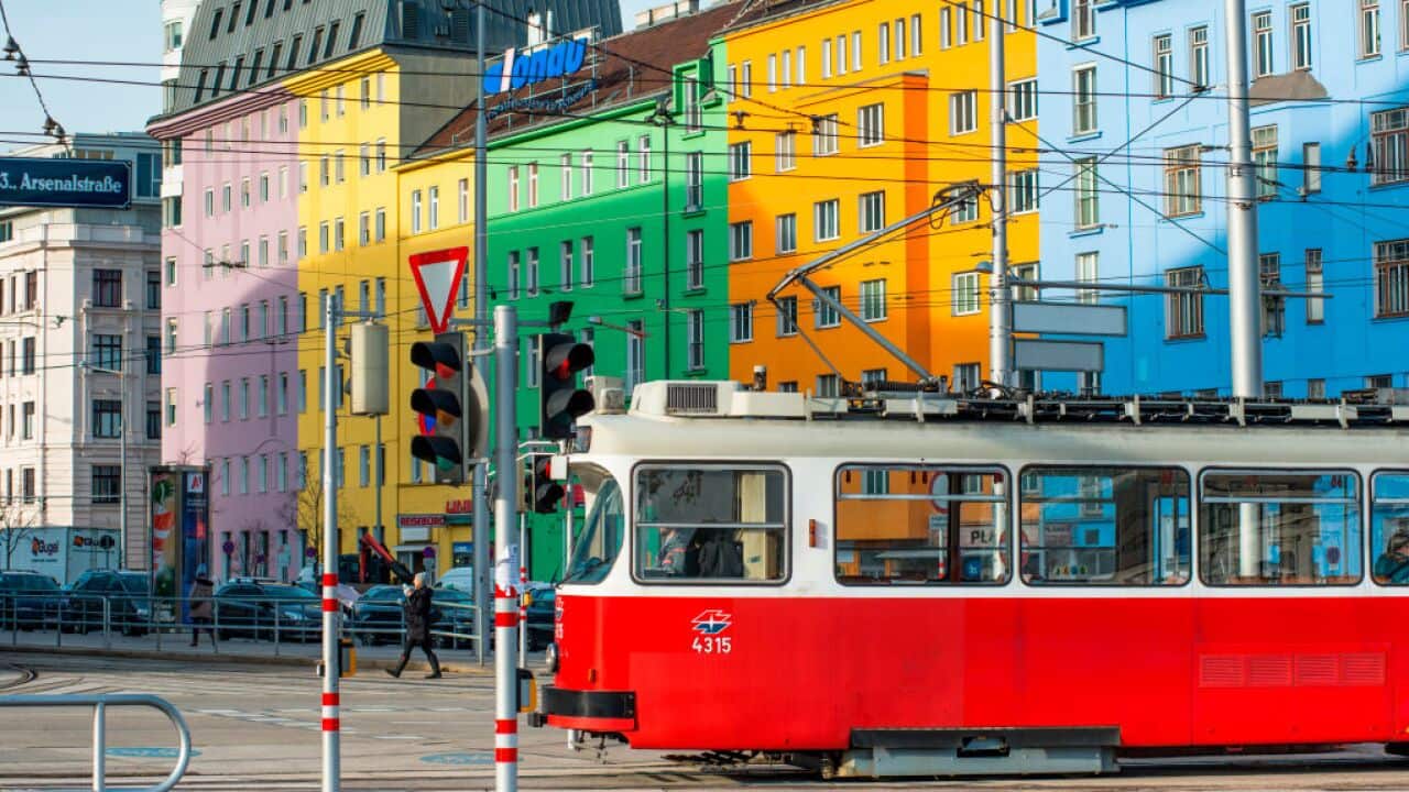 Vienna file