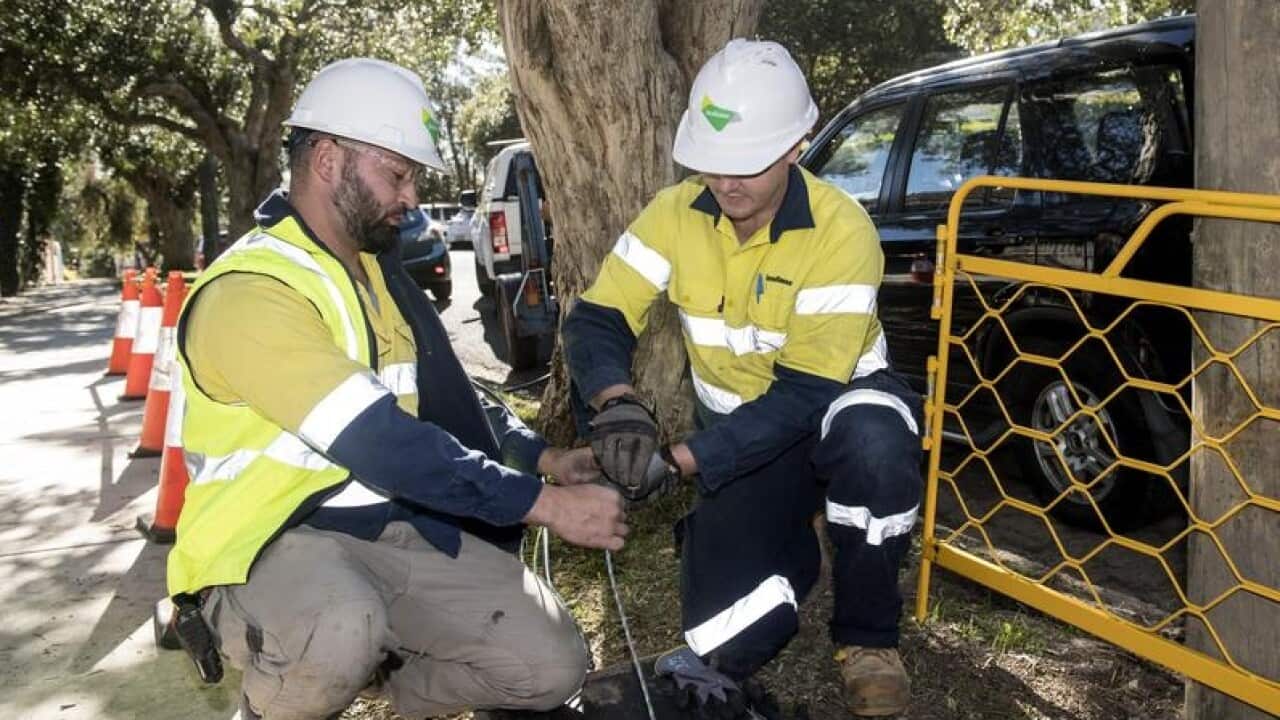 Contratistas installando la Banda Ancha