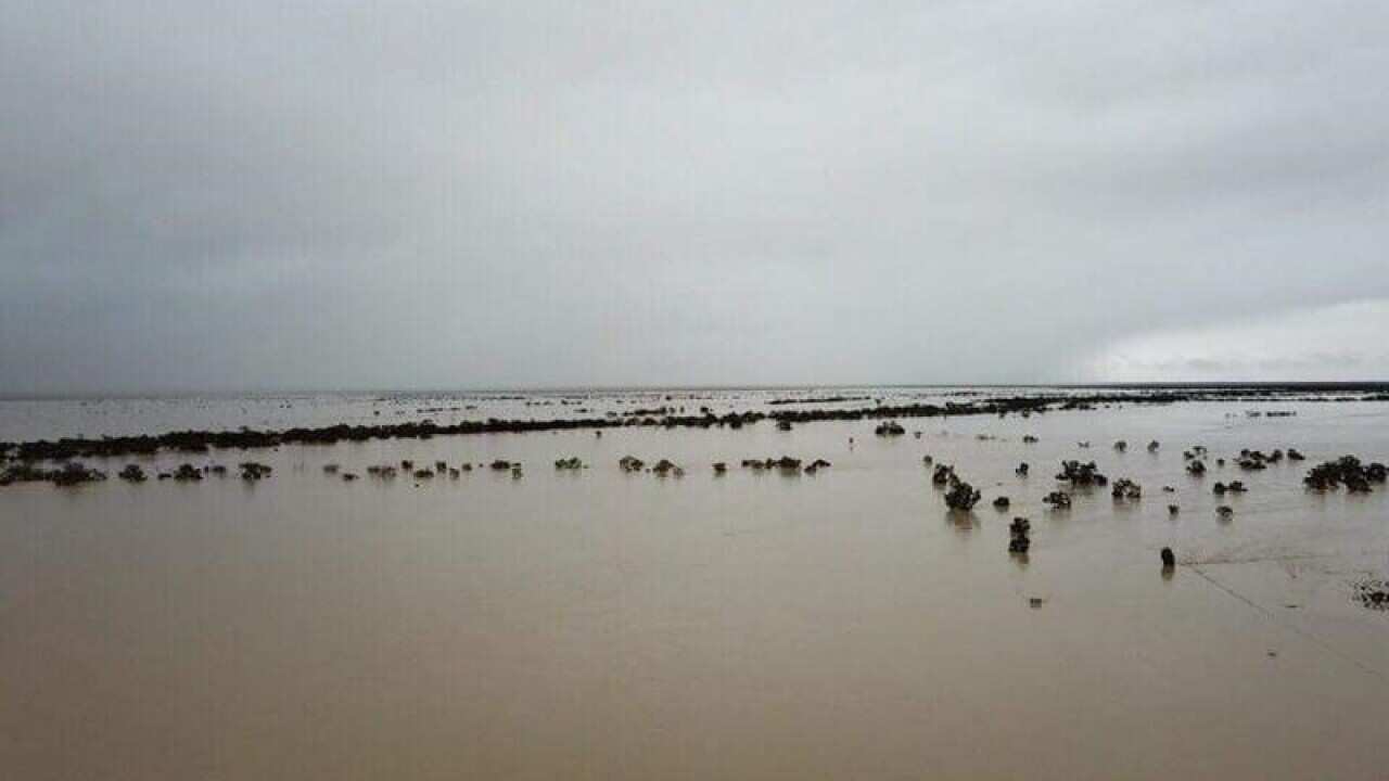 Damage caused by flooding west of Julia Creek, North Queensland