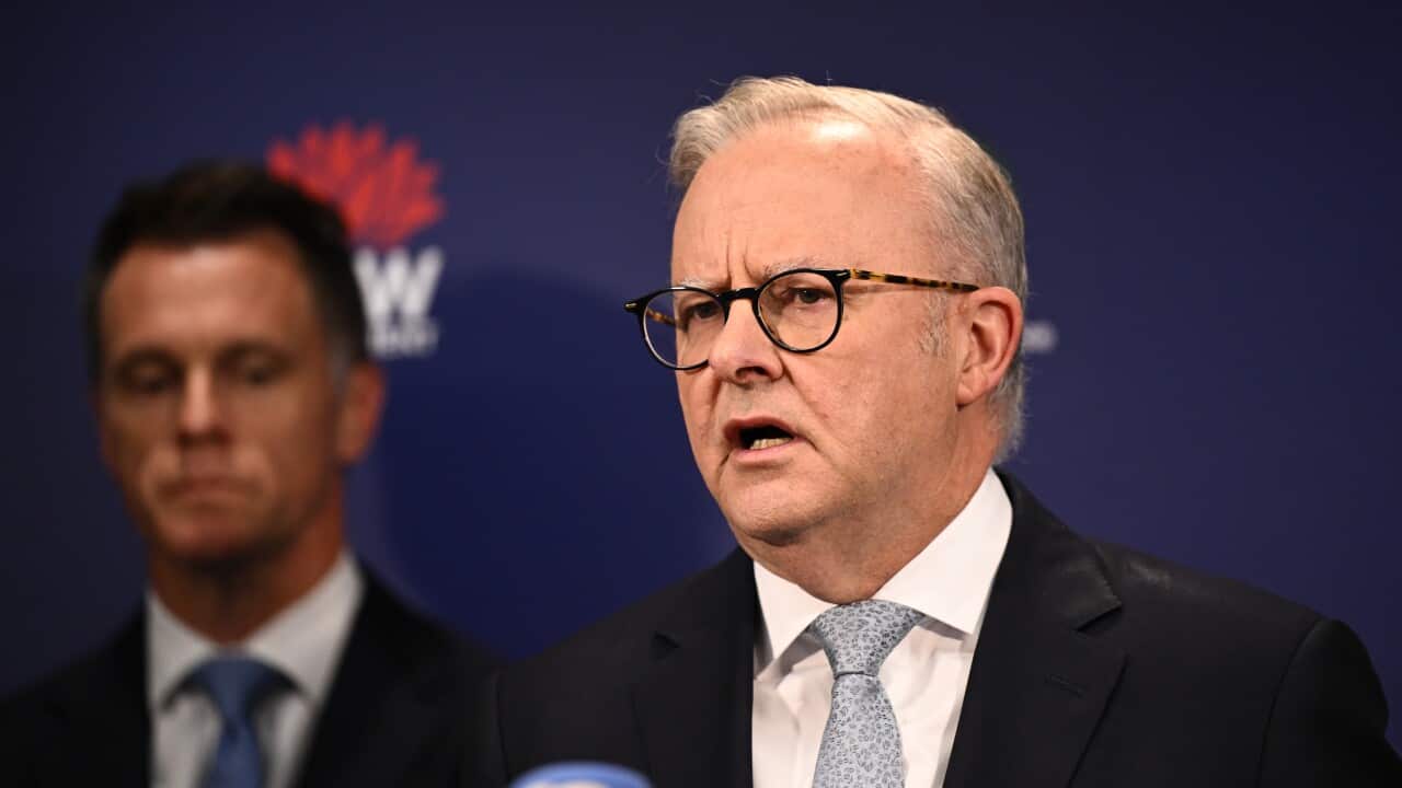 CHRIS MINNS BONDI BEACH SHOOTING