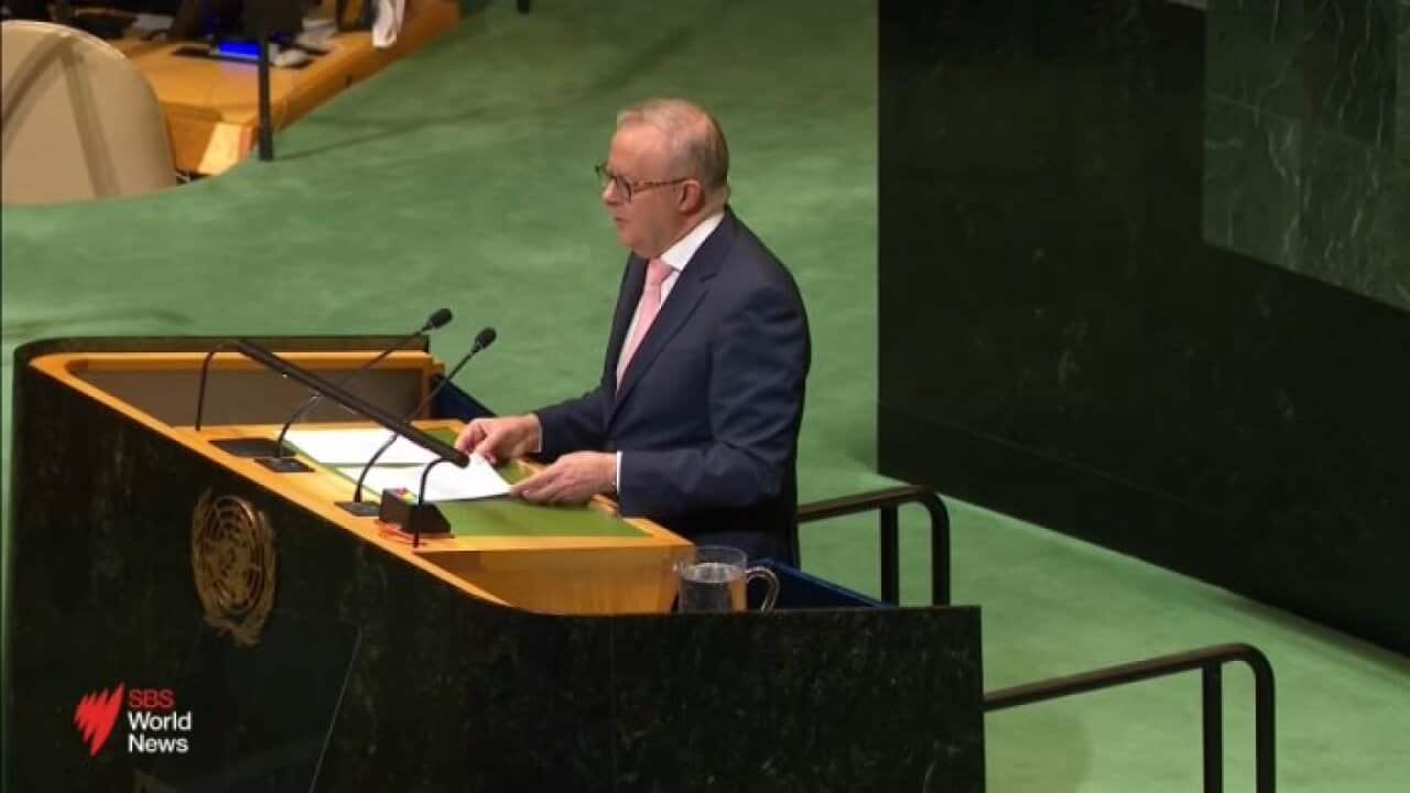 ALBO.jpg