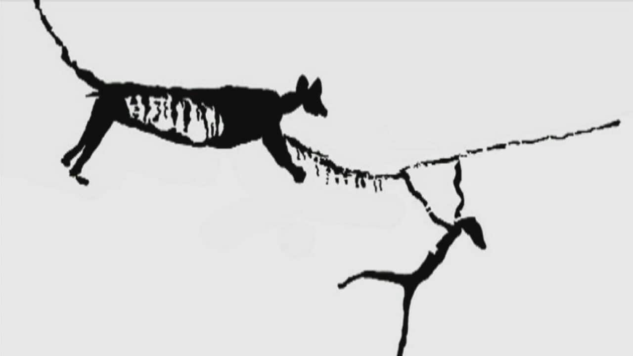 Image for read more article 'READ MORE'