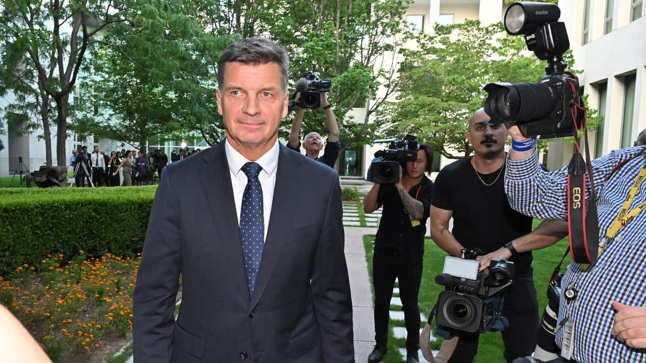 ANGUS TAYLOR RESIGNATION