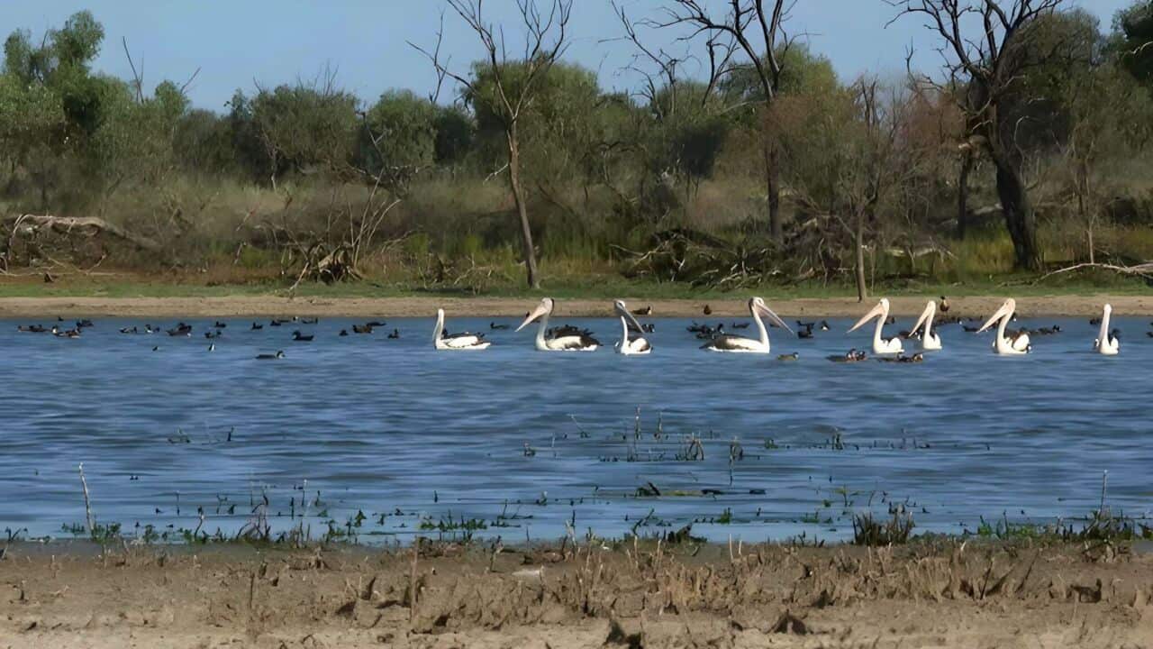 Image for read more article ''