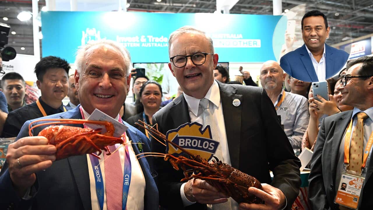 ANTHONY ALBANESE CHINA TOUR