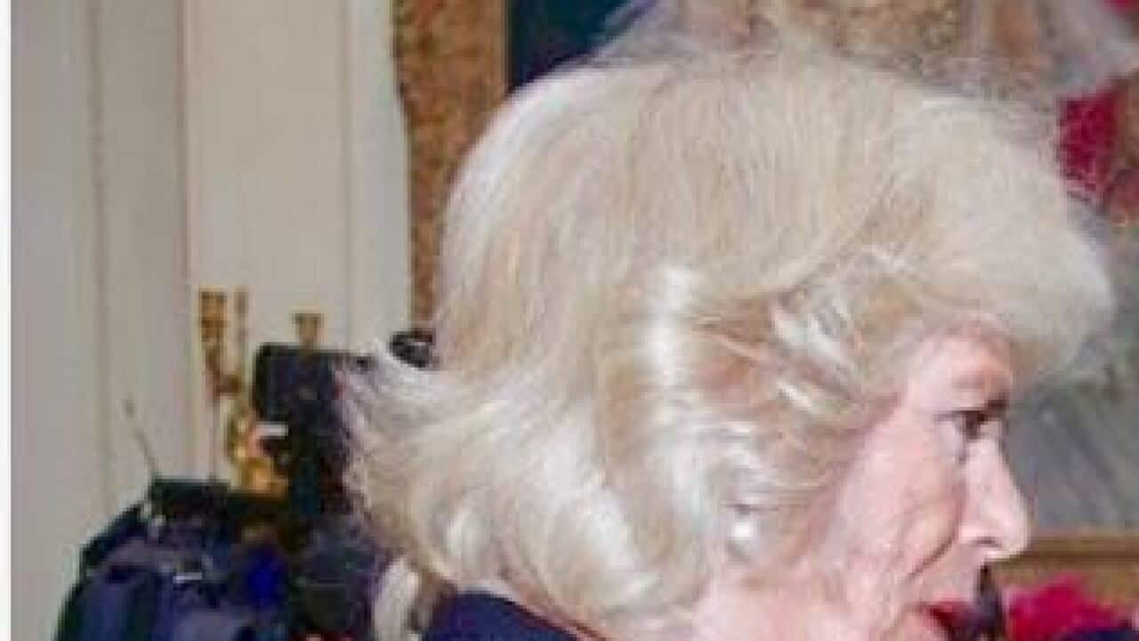 Camilla wife of Prince Charles meeting with women from different countries in London