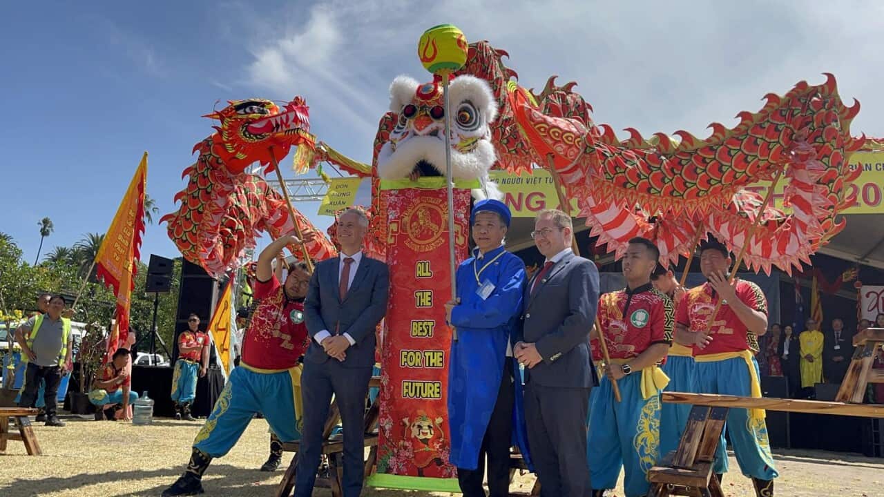 Image for read more article 'READ MORE'