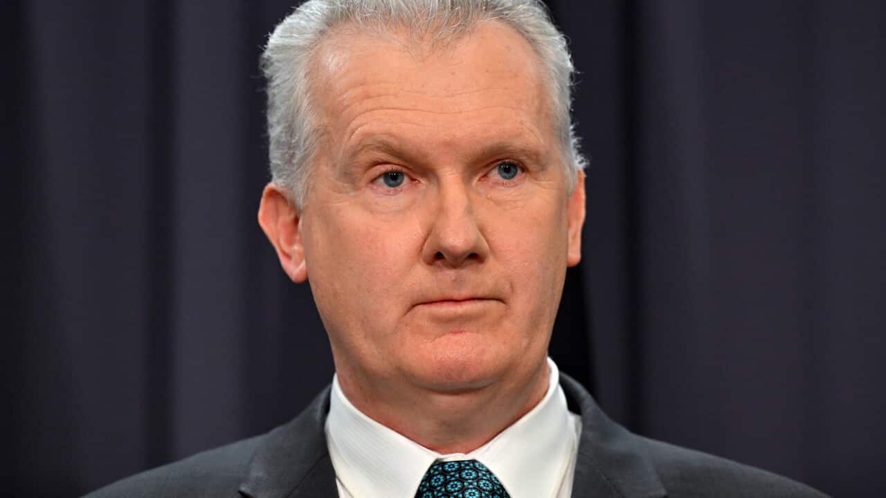 TONY BURKE CFMEU PRESSER
