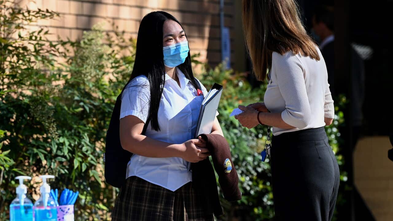 NSW CORONAVIRUS COVID19 REOPENING