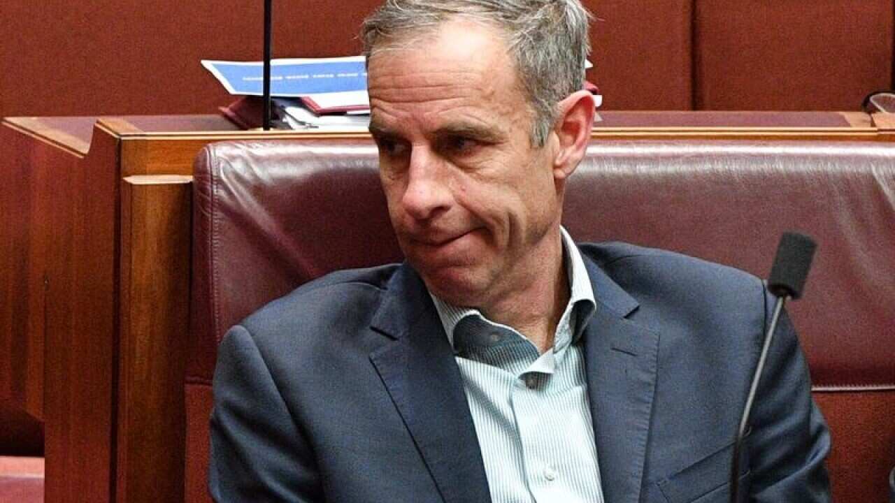 SENATE FOREIGN INTERFERENCE BILL