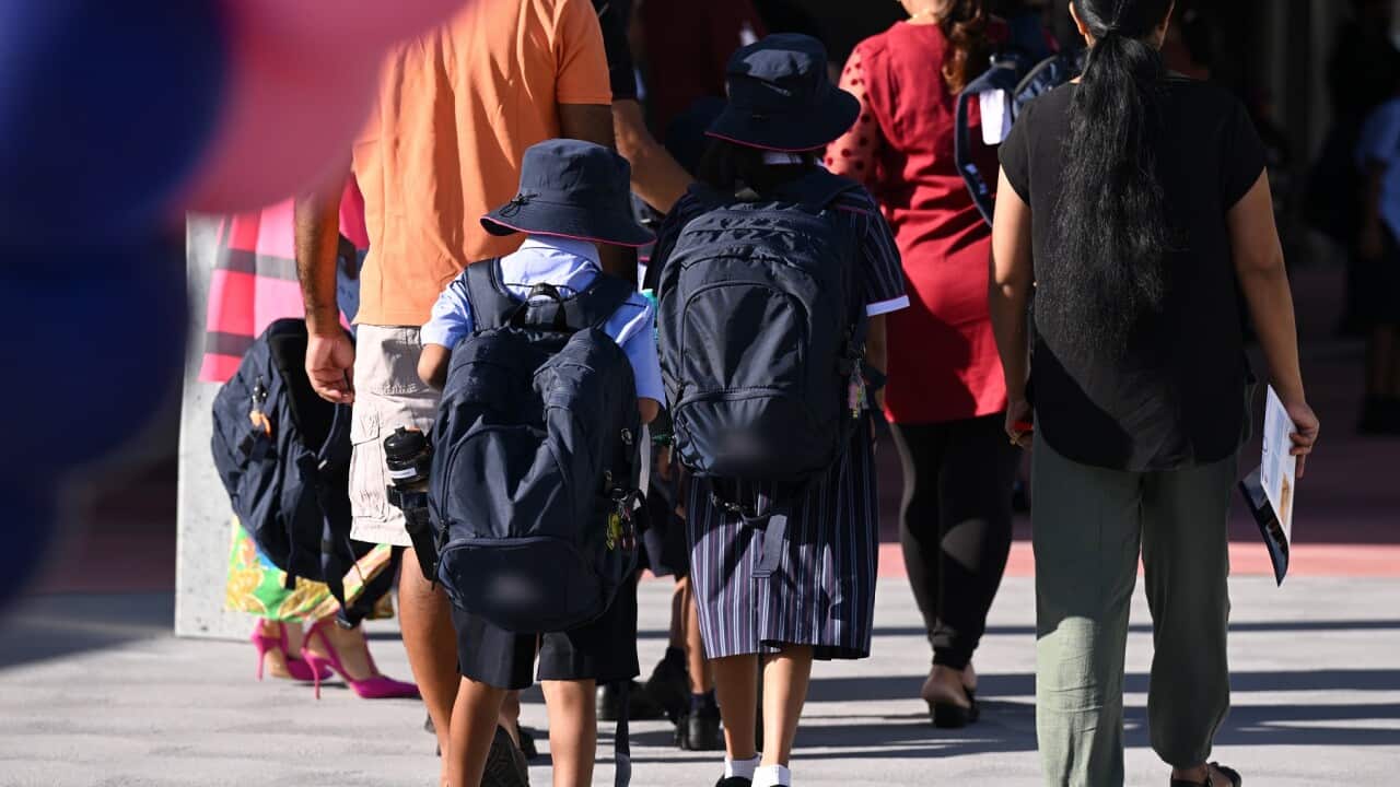 BACK TO SCHOOL NSW STOCK