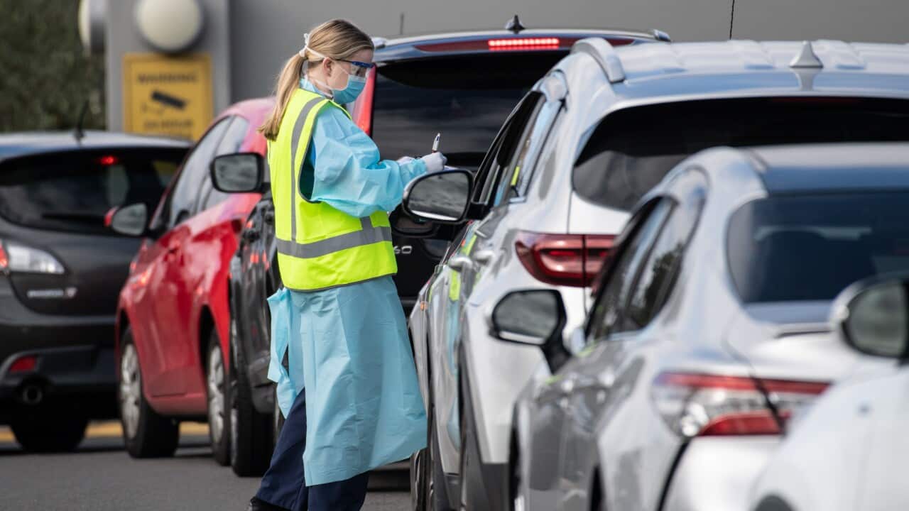 Sydneysiders queue up in their cars for COVID-19 testing as community transmission of the virus continues.