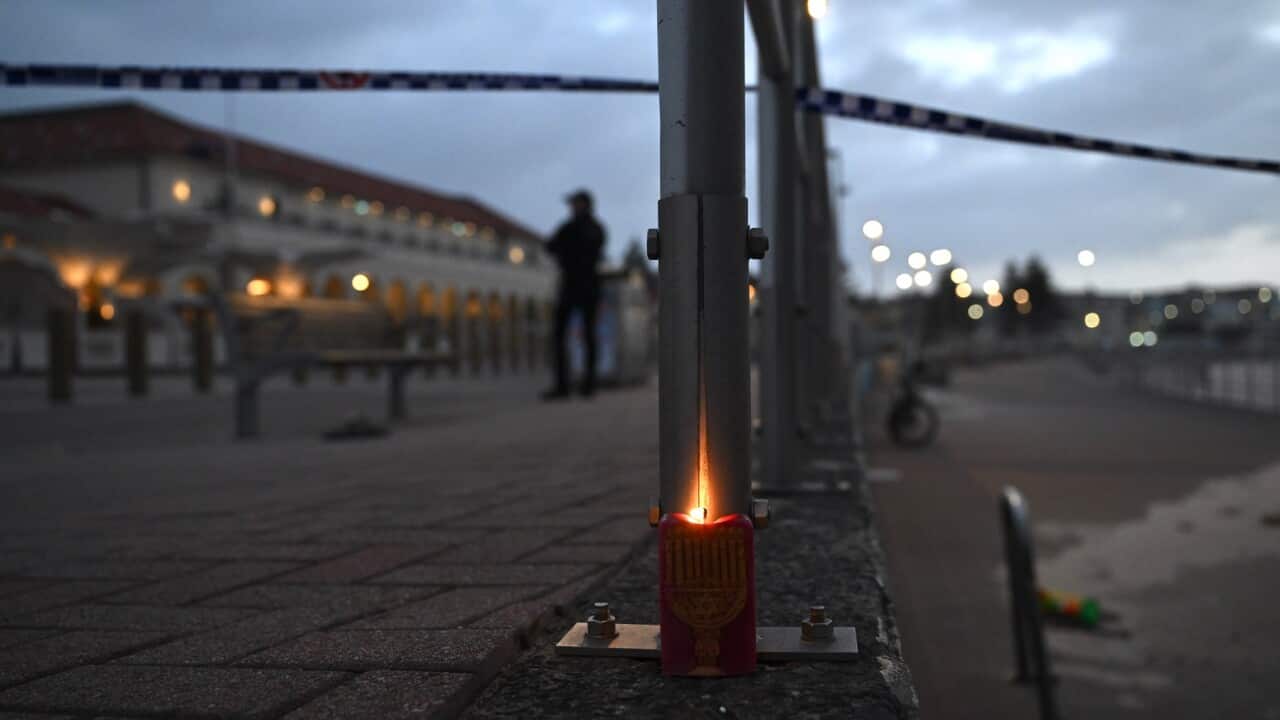 BONDI BEACH SHOOTING