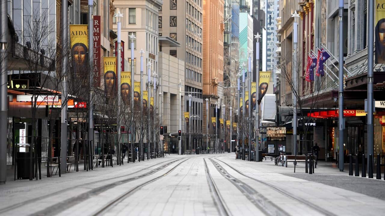 A deserted George Street, in Sydney's CBD