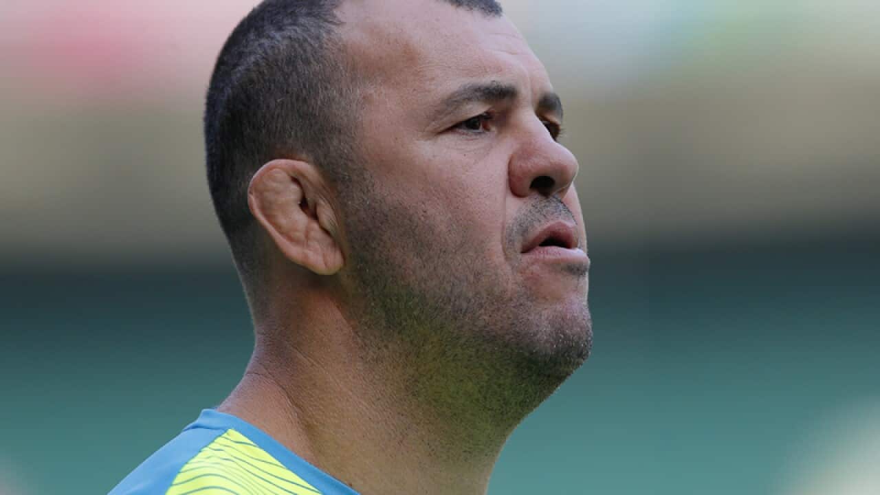 Wallabies coach Michael Cheika