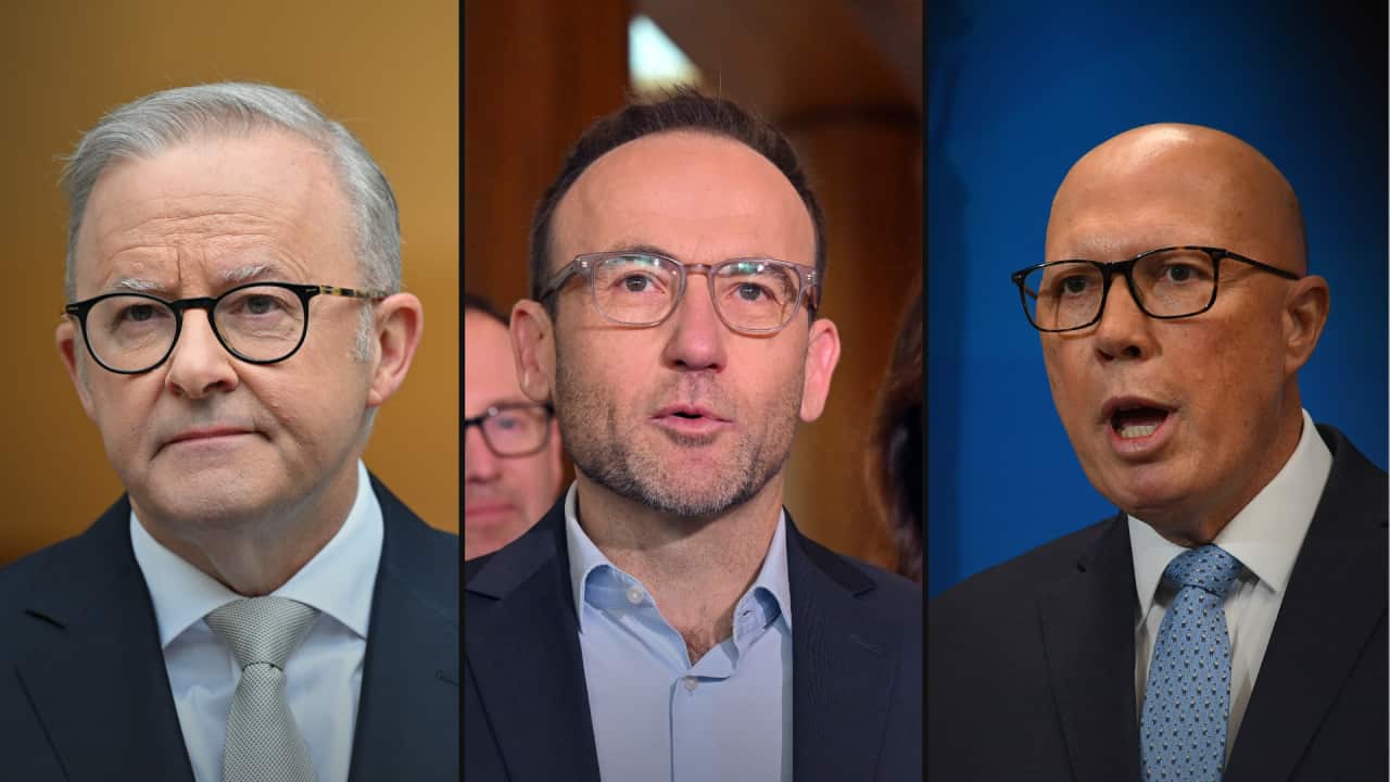 Image for read more article 'READ MORE'