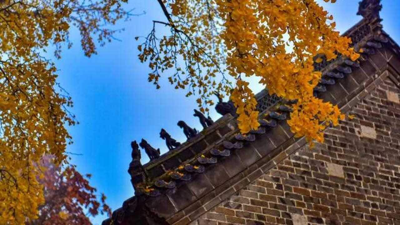 《中國古代都城發展》