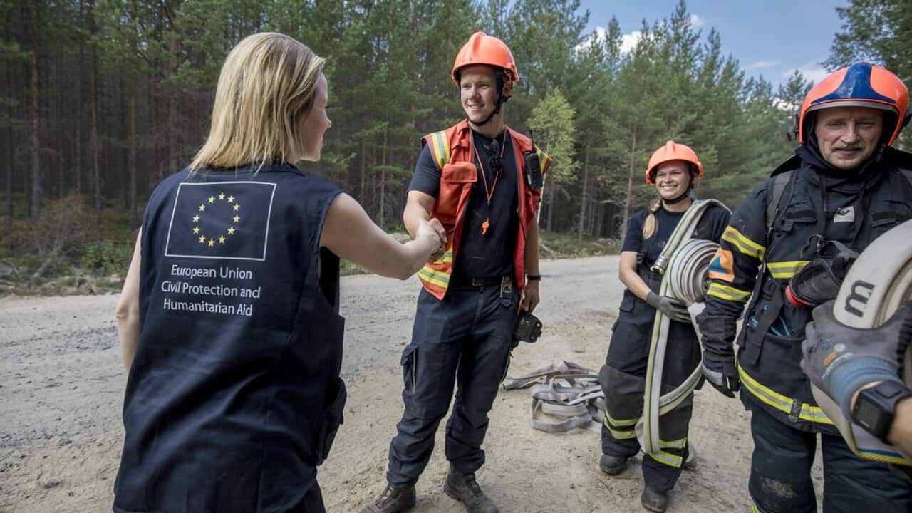 Image for read more article 'READ MORE'