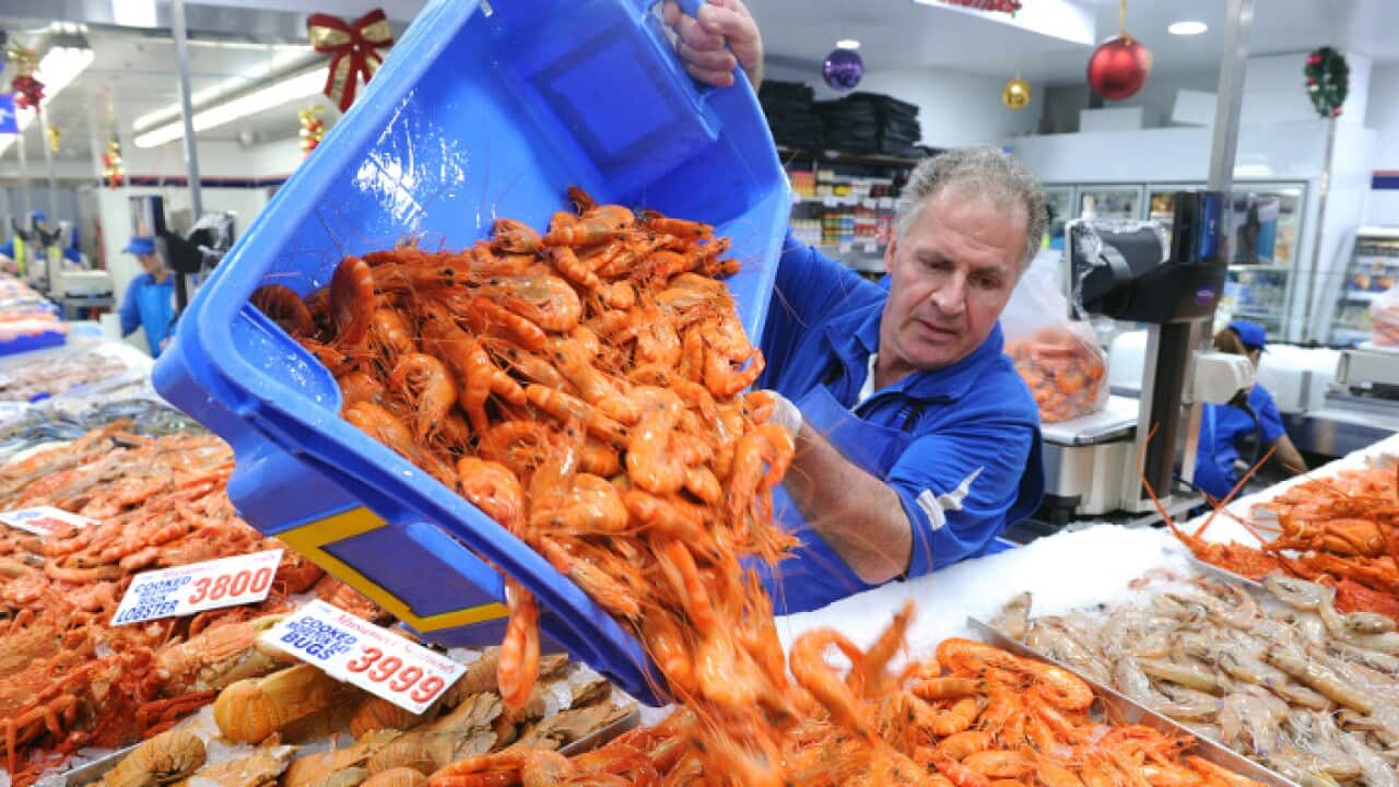 Worker at the Sydney Fish Markets