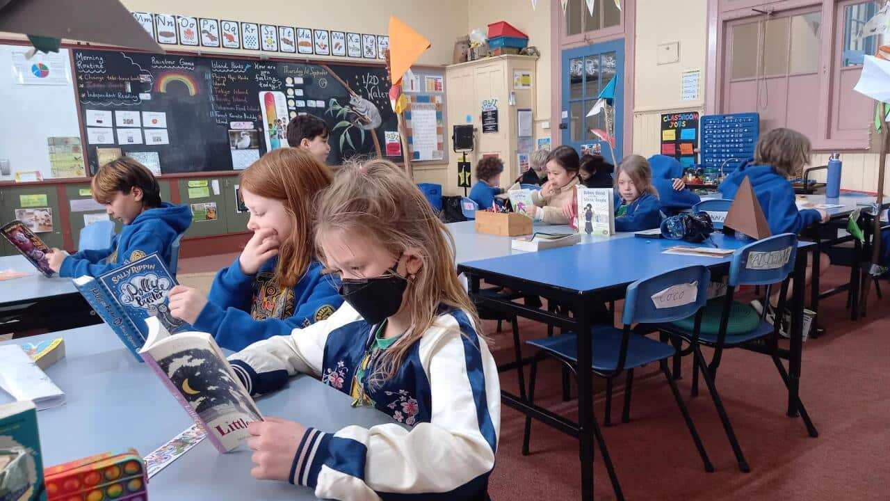 Thornbury Primary School has been part of a Victorian pilot program to help staff identify and support students with mental health issues (SBS).jpg