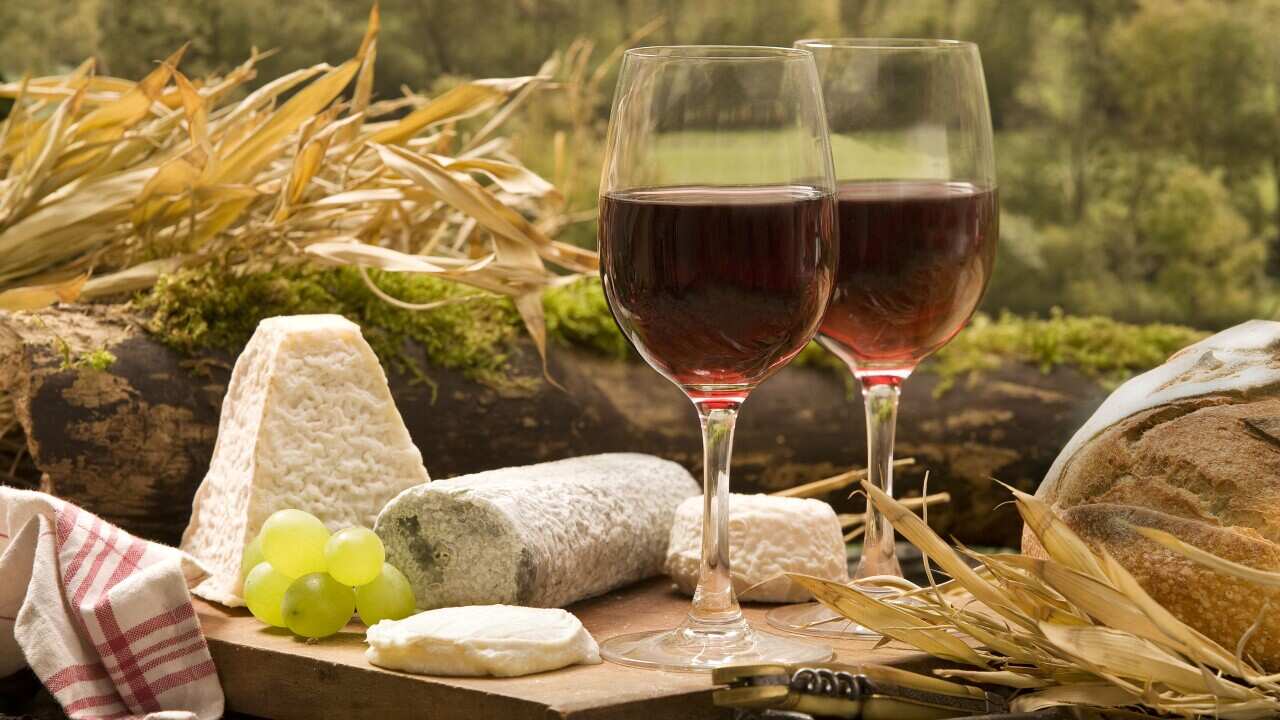 Table - with two glasses of red wine with cheese & bread  (AAP/Mary Evans/Ardea/Jean-Michel Labat) | NO ARCHIVING, EDITORIAL USE ONLY