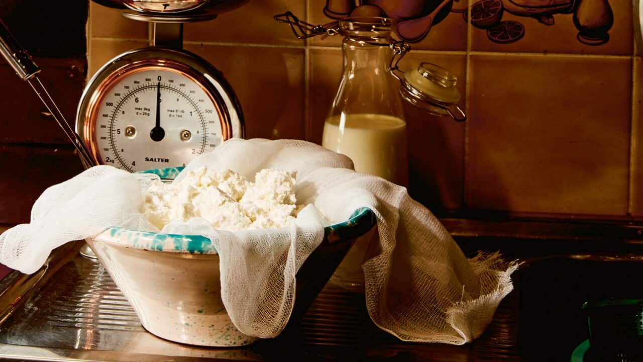 Homemade ricotta