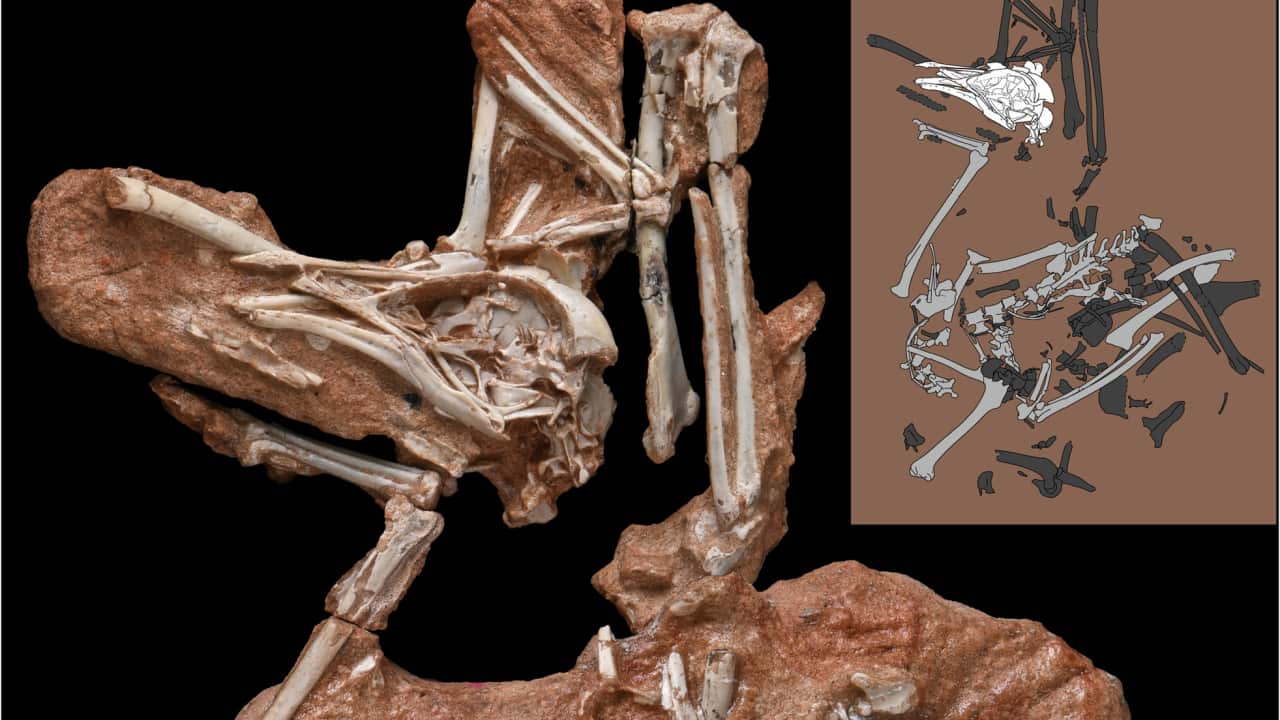 Image for read more article 'Más noticias en español:'