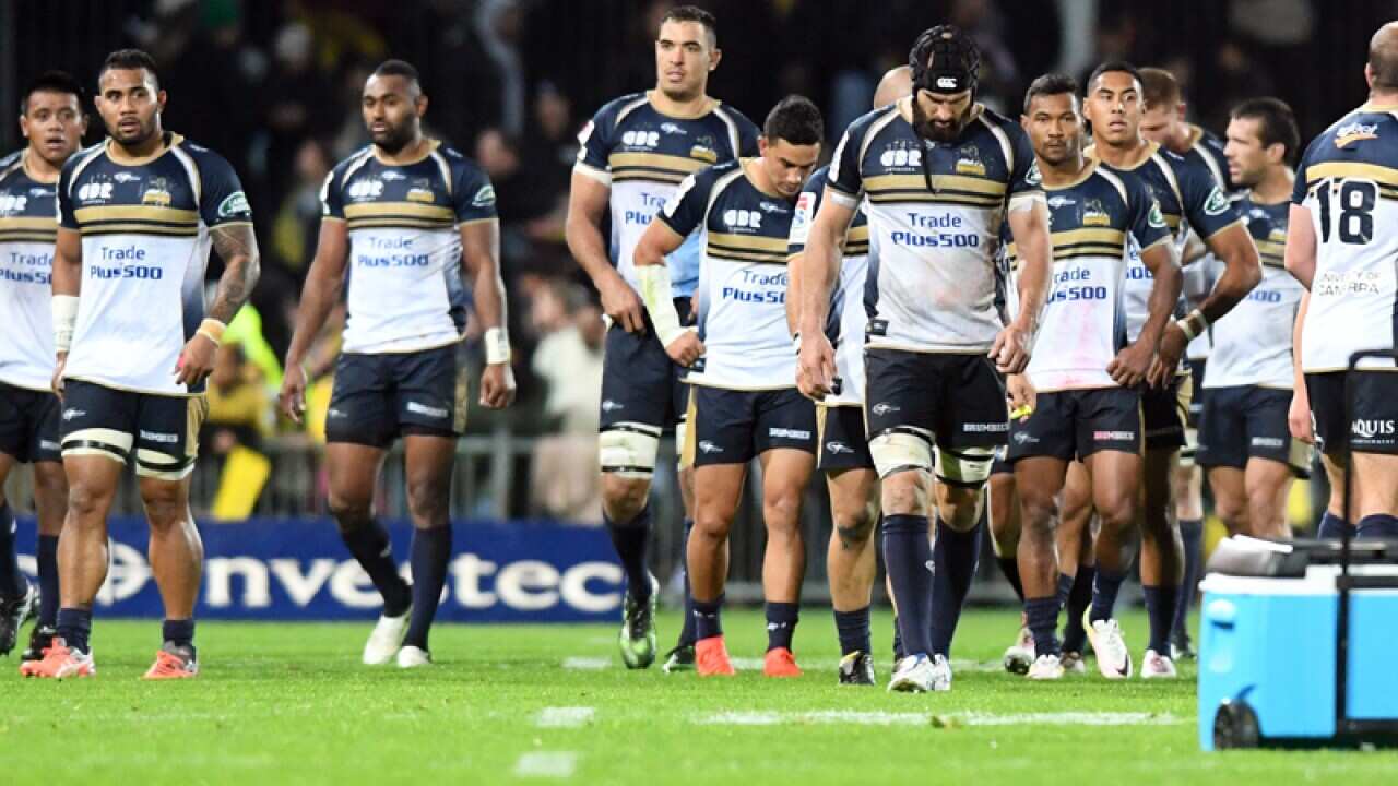 Brumbies
