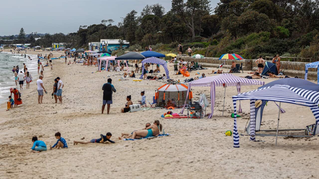 People flock Dromana Beach in Melbourne, Australia - 23 Nov 2024