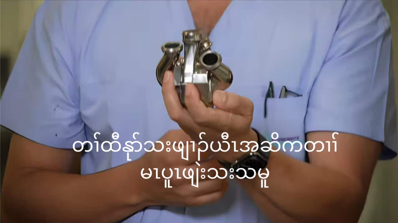 The artificial heart Source: SBS News