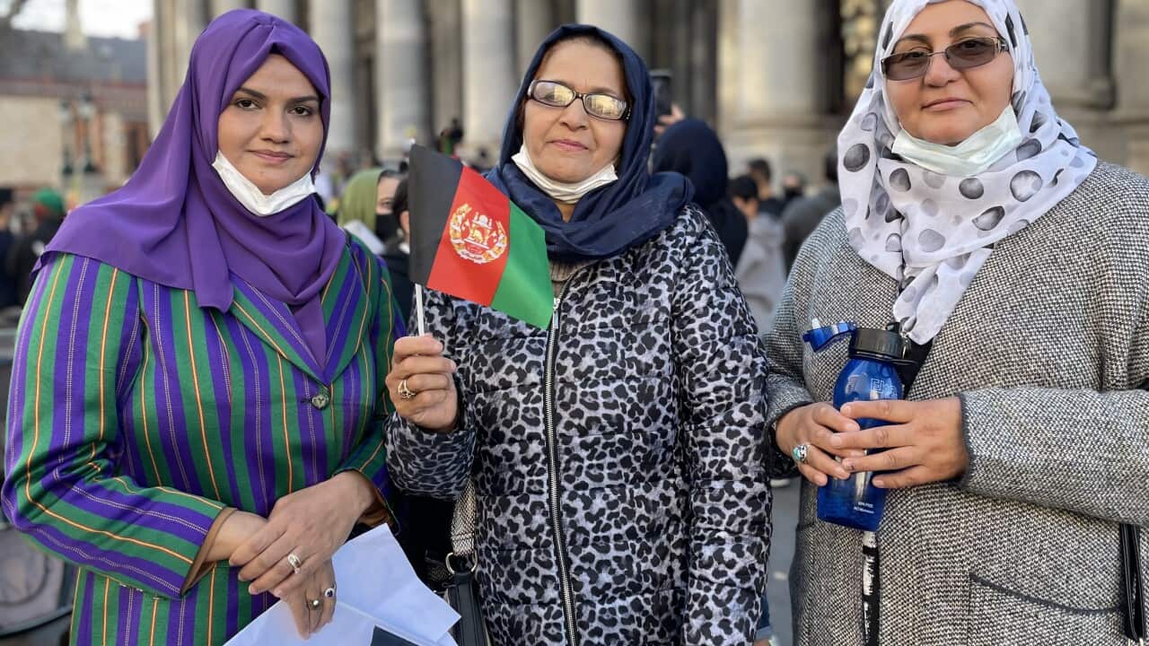 Yalda Siddiqui joins other members of Adelaide's Afghan community on Saturday, urging the federal government to help people displaced by the Taliban's violence.