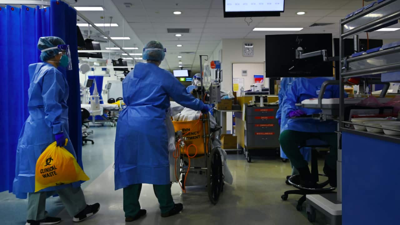 A supplied image of ICU staff caring for COVID-19 positive patients in the ICU of St Vincent’s Hospital in Sydney